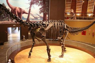В ЮАР нашли останки одного из самых крупных динозавров Юрского периода