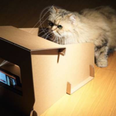 CatFi Box - Google Cardboard для котиков.