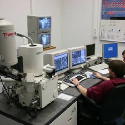 Новый электронный микроскоп позволяет увидеть атомы живых клеток