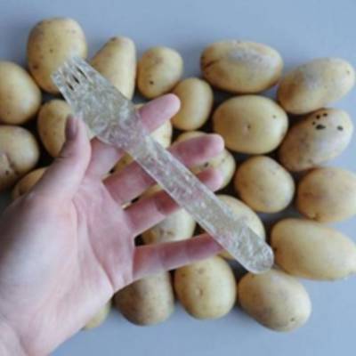 Разработан биоразлагаемый «пластик» из… картофеля