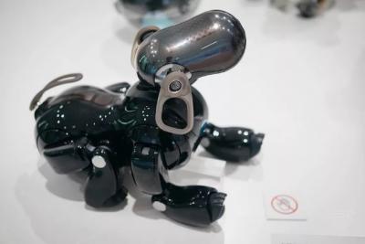 Sony планирует выпустить нового робота-собаку в ближайшем будущем