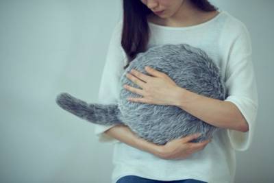 Подушка-кошка, которую вы всегда хотели, теперь доступна для предварительного заказа