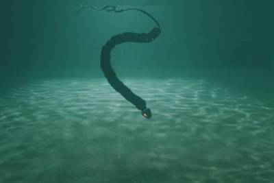 Подводный робот-змея поможет чинить сооружения