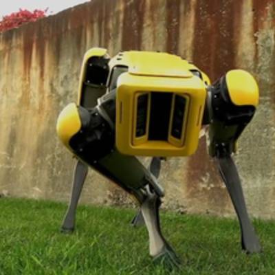 Boston Dynamics начнет продавать роботов-собак в следующем году