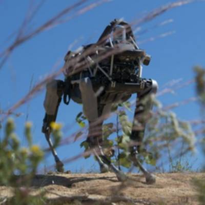 Робот Spot успешно прошёл курс подготовки морских пехотинцев